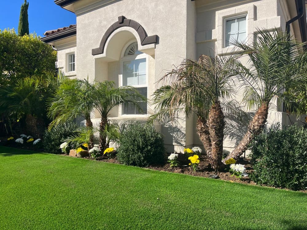 Elegant home exterior with palm trees and blooming flowers in a well-maintained garden.