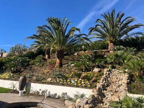 Project Hillside Tropical Oasis with Waterfall image