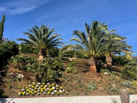 Hillside Tropical Oasis with Waterfall