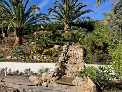 Hillside Tropical Oasis with Waterfall