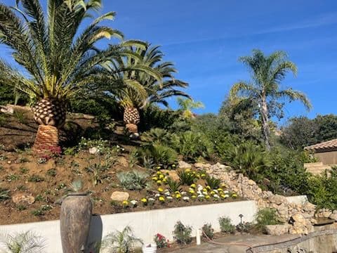 Hillside Tropical Oasis with Waterfall