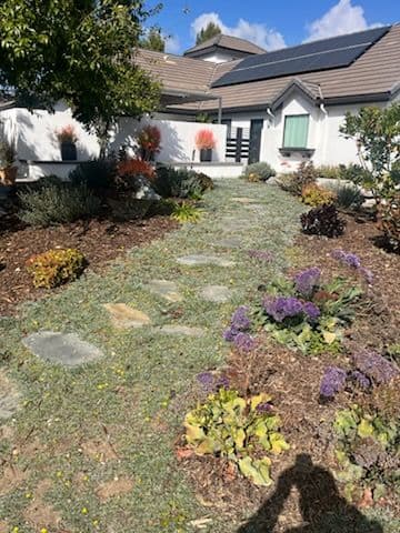 Drought-Resistant Landscaping in Suburban Front Yard
