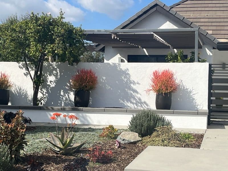 Drought-Resistant Landscaping in Suburban Front Yard
